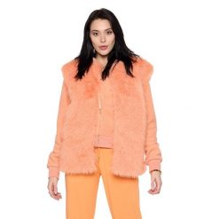 Kurtka na co dzień na siłownię. Brązowe kurtki damskie LEONE 1947 APPAREL, bez wzorów, z poliesteru, bez kaptura. Za 218.92 zł.