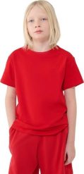 Koszulka dla chłopca 4F M2324 czerwona 4FJWSS25TTSHM2324 62S 146cm. Czerwone t-shirty dla chłopców 4f, bez wzorów, bez ramiączek. Za 45.36 zł.