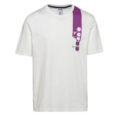 Koszulka męska DIADORA T-SHIRT SS ICON. Brązowe t-shirty męskie Diadora, m, bez wzorów, bez kołnierzyka. Za 49.99 zł.