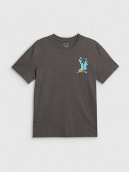4F T-shirt regular z nadrukiem męski - szary L. Szare t-shirty męskie 4f, l, bez wzorów, z bawełny, klasyczne, bez kołnierzyka. Za 69.99 zł.