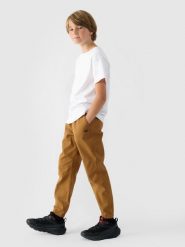 4F Spodnie casual joggery chłopięce - brązowy 122 (6-7 lat). Brązowe spodnie sportowe dla chłopców 4f, bez wzorów, z bawełny, casualowe. W wyprzedaży za 79.99 zł.