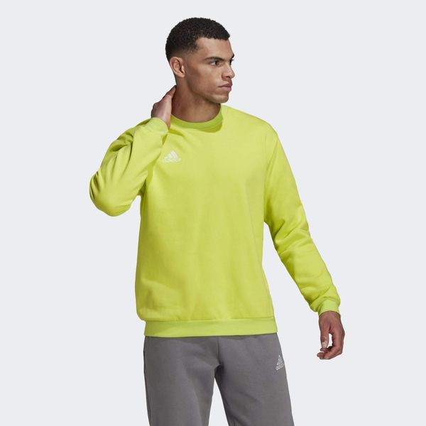 Bluza adidas Entrada 22. Żółte bluzy męskie Adidas, l, bez wzorów, z bawełny, bez kaptura, na fitness i siłownię. Za 121.99 zł.