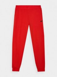 4F Spodnie dresowe joggery męskie - czerwone XL. Czerwone spodnie sportowe męskie 4f, l, bez wzorów, z bawełny. W wyprzedaży za 99.99 zł.