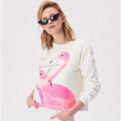 Bluza z flamingami - Kremowy. Bluzy damskie Sinsay. W wyprzedaży za 19.99 zł.
