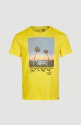T-shirt męski O'Neill Loren T-Shirt z krótkim rękawem. Żółte t-shirty męskie O'Neill, na lato, m, bez wzorów, z bawełny, wakacyjne, bez kołnierzyka. Za 139.00 zł.