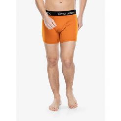 Bokserki termoaktywne męskie Smartwool Active Boxer Brief Boxed. Brązowe bielizna termoaktywna męska Smartwool, m. Za 146.99 zł.