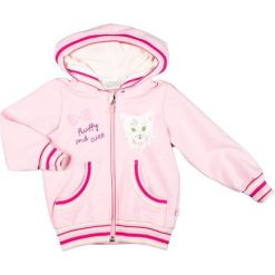 Mmdadak Bluza Dziewczęca Kotek 62 Różowy. Bluzy dla dziewczynek marki bonprix. Za 45.00 zł.
