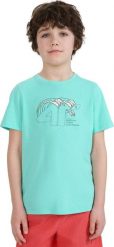 Koszulka dla chłopca 4F M1917 miętowa 4FJWSS25TTSHM1917 47S 134cm. Zielone t-shirty dla chłopców 4f, bez wzorów, bez ramiączek. Za 39.70 zł.