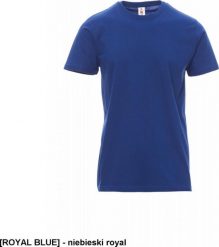 R.E.I.S. PRINT JERSEY PAYPER - Koszulka t-shirt męski roboczy 100% BAWEŁNA ELASTYCZNA 150 g/m2 - niebieski royal 4XL. Niebieskie t-shirty męskie R.E.I.S., m, bez wzorów, z bawełny, bez kołnierzyka. Za 26.51 zł.