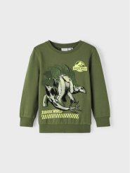 NAME IT Bluza 13219775 Zielony Standard Fit. Zielone bluzy dla chłopców Name it, bez wzorów, z bawełny, bez ramiączek, bez kaptura. Za 99.99 zł.