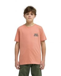 Koszulka z krótkim rękawem dla Chłopcy FRUITS TIDE Różowy. Czerwone t-shirty dla chłopców Quiksilver, bez wzorów, z bawełny, bez ramiączek. Za 47.50 zł.