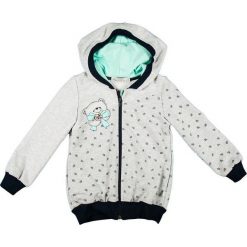 Mmdadak Bluza Dziewczęca Niedźwiadek 80 Szary. Bluzy dla dziewczynek marki Mmdadak. Za 52.00 zł.