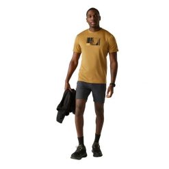 T-shirt Męski Wspinaczka Górska Fingal. Zielone t-shirty męskie Regatta, l, bez wzorów, z jersey, bez kołnierzyka. Za 77.99 zł.