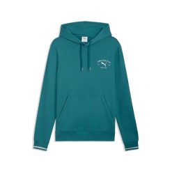 Bluza Puma Class Graphic Hoodie Tr Dorośli. Zielone bluzy męskie Puma, l, bez wzorów, z bawełny, z kapturem. Za 291.99 zł.