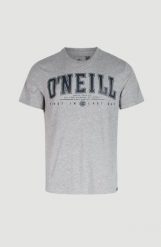 T-shirt męski O'Neill State Muir T-Shirt z krótkim rękawem. Szare t-shirty męskie O'Neill, m, bez wzorów, z bawełny, bez kołnierzyka. Za 119.00 zł.