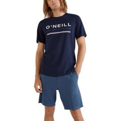 T-shirt męski O'Neill Arrowhead T-Shirt z krótkim rękawem. Brązowe t-shirty męskie O'Neill, m, bez wzorów, sportowe, bez kołnierzyka. Za 129.00 zł.