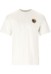 T-shirt Whistler Saloma. Brązowe t-shirty męskie Whistler, uniwersalny, bez wzorów, z bawełny, eleganckie, bez kołnierzyka. Za 147.50 zł.