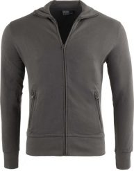 Męska bluza Promodoro Jacket ze stójką, szara. Szare bluzy męskie BOXRAW, m, bez wzorów, z bawełny, bez kaptura. Za 73.68 zł.