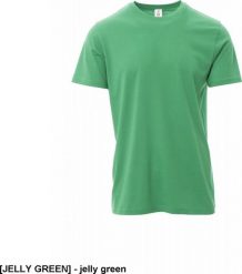 R.E.I.S. PRINT JERSEY PAYPER - Koszulka t-shirt męski roboczy 100% BAWEŁNA ELASTYCZNA 150 g/m2 - jelly green 3XL. Zielone t-shirty męskie R.E.I.S., m, bez wzorów, z bawełny, bez kołnierzyka. Za 26.51 zł.