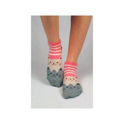 Skarpetki z kotami (w paseczki różowe). Skarpety damskie marki Candysox.pl. Za 30.00 zł.