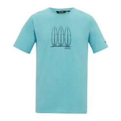 T-shirt Męski Z Deską Surfingową Cline IX. Niebieskie koszulki sportowe męskie Regatta, m, bez wzorów, sportowe, bez kołnierzyka. Za 67.99 zł.