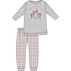 Piżama Kids Girl 780/93 Winter Day szara r. 128. Szare bielizna dla chłopców Cornette. Za 51.73 zł.