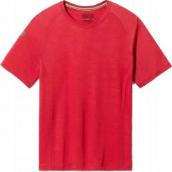 Smartwool M'S Active Ultralite Short Sleeve, J34, XL. Bluzy męskie Smartwool, m, bez wzorów, bez kaptura. Za 197.57 zł.