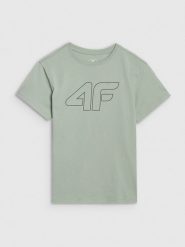 4F T-shirt oversize z nadrukiem chłopięcy - zielony 122 (6-7 lat). Zielone t-shirty dla chłopców 4f, bez wzorów, z bawełny, bez ramiączek. W wyprzedaży za 29.99 zł.