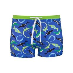 Beco Ocean Dinos spodenki kąpielowe dla chłopców | Niebieskie. Niebieskie kąpielówki dla chłopców 47 Brand, bez wzorów, z elastanu. Za 193.99 zł.