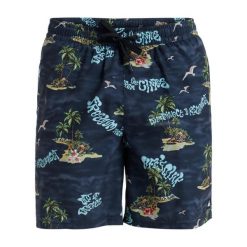Szorty kąpielowe dla Mężczyzn EVERYDAY STRAIGHT VOLLEY 17" Czarny. Niebieskie krótkie spodenki sportowe męskie Quiksilver, m, bez wzorów, z materiału. Za 199.99 zł.