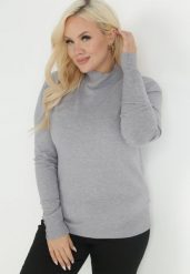 Szary Golf Dzianinowy z Długim Rękawem Dasso. Szare swetry damskie Born2be, plus size, bez wzorów, z dzianiny, bez kołnierzyka, plus size, bez ramiączek, długie, bez kaptura. Za 74.99 zł.