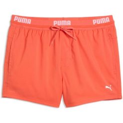 Szorty męskie Puma Swim Men Logo Short Length Swim Short. Brązowe szorty męskie Puma, m, bez wzorów, z materiału. Za 290.00 zł.