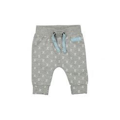 Dirkje Chłopięce Spodnie Dresowe Z Wzorem Pd0418_Aw18 68 Szary. Szare spodnie sportowe dla chłopców Dirkje, z dresówki. Za 55.00 zł.