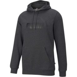 Bluza z kapturem Puma Essentials Big Logo, Mężczyźni. Szare bluzy męskie Puma, m, bez wzorów, z bawełny, z kapturem, na fitness i siłownię. Za 290.00 zł.