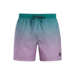 Szorty kąpielowe Protest Northaw. Brązowe krótkie spodenki sportowe męskie Protest, l, bez wzorów, z materiału, do pływania. Za 324.00 zł.