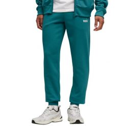 Spodnie męskie Puma Ess 2 Color No.1 Logo. Zielone buty sportowe męskie Puma, bez zapięcia, na fitness i siłownię. Za 147.99 zł.