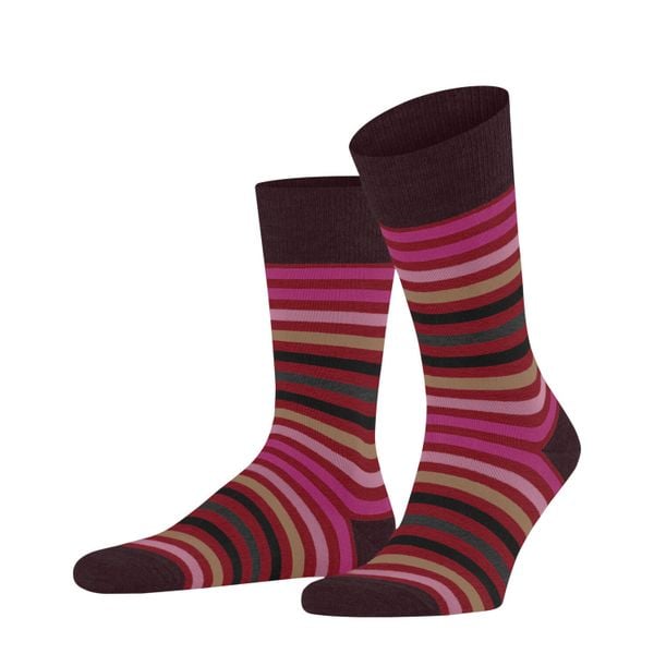 Skarpety Falke Tinted Stripe. Czerwone skarpety męskie Falke, bez wzorów, z bawełny. Za 129.50 zł.