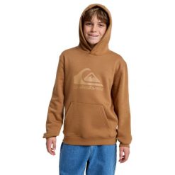 Bluza z kapturem dla Chłopcy COMP LOGO Brązowy. Brązowe bluzy dla chłopców Quiksilver, bez wzorów, z bawełny, bez ramiączek, z kapturem. Za 169.99 zł.