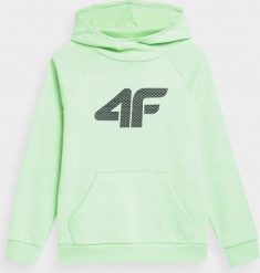 4f Bluza dla chłopca 4F jasna zieleń 4FJSS23TSWSM220 42S 134cm. Zielone bluzy dla chłopców 4f, bez wzorów, bez ramiączek, bez kaptura. Za 120.88 zł.