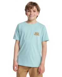 Koszulka z krótkim rękawem dla Chłopcy FRUITS TIDE Niebieski. Niebieskie t-shirty dla chłopców Quiksilver, bez wzorów, z bawełny, bez ramiączek. Za 47.50 zł.