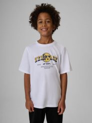 4F T-shirt regular z nadrukiem chłopięcy - biały 158 (12-13 lat). Białe t-shirty dla chłopców 4f, bez wzorów, z bawełny, bez ramiączek. Za 49.99 zł.
