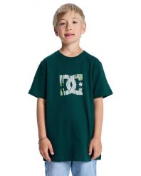 Koszulka z krótkim rękawem dla Chłopcy DC STAR FILLED Zielony. Zielone t-shirty dla chłopców DC Shoes, bez wzorów, z bawełny, bez ramiączek. Za 109.99 zł.