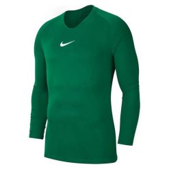Bluza Męska Park DriFIT Base Layer Top. Zielone koszulki sportowe męskie Nike, m, bez wzorów, bez kołnierzyka, bez ramiączek, trekkingowe. Za 131.99 zł.