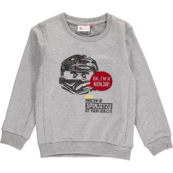 Bluza "Sebastian 717" w kolorze jasnoszarym. Bluzy dla chłopców marki bonprix. W wyprzedaży za 82.95 zł.