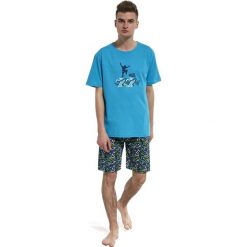 Piżama chłopięca F&Y 551/26 skate r. 164/XS. Szare bielizna dla chłopców Cornette. Za 67.17 zł.
