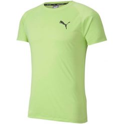 Koszulka do piłki nożnej męska Puma Rtg Tee Sharp. Zielone koszulki sportowe męskie Puma, m, bez wzorów, z materiału, bez kołnierzyka, bez ramiączek, na fitness i siłownię. Za 79.87 zł.