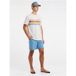 Koszulka męska Protest PRTEXMOUTH t-shirt. Białe t-shirty męskie Protest, m, bez wzorów, sportowe, bez kołnierzyka. Za 179.99 zł.