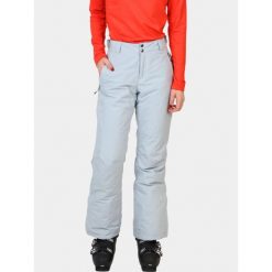 Damskie Spodnie Narciarskie Columbia Shafer Canyon II. Szare spodnie sportowe damskie Columbia, m, bez wzorów, narciarskie. Za 559.00 zł.
