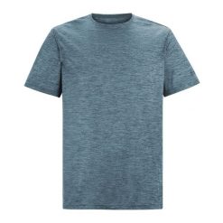 T-shirt Męski Melanżowy Fingal Edition. Niebieskie koszulki sportowe męskie Regatta, m, bez wzorów, sportowe, bez kołnierzyka. Za 75.99 zł.