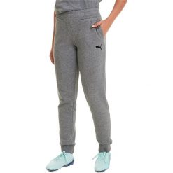 Spodnie Puma Teamgoal 23 Casuals Pants W, Kobiety. Szare spodnie materiałowe damskie Puma, xs, bez wzorów, z bawełny. Za 290.00 zł.